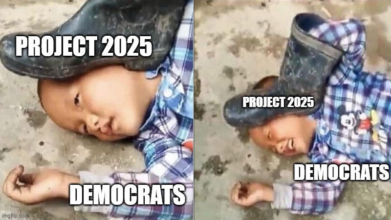 Project 2025 boot on head | PROJECT 2025; PROJECT 2025; DEMOCRATS; DEMOCRATS | image tagged in pressing a boot on your own head | made w/ Imgflip meme maker