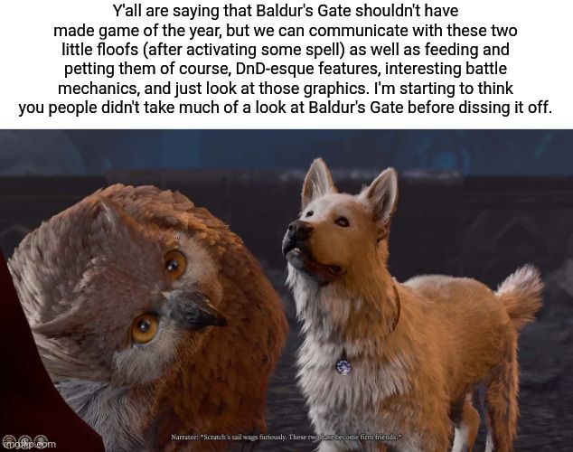 So what if people don't give much attention to it? That doesn't mean it's not a good game, just means its community is small or  | Y'all are saying that Baldur's Gate shouldn't have made game of the year, but we can communicate with these two little floofs (after activating some spell) as well as feeding and petting them of course, DnD-esque features, interesting battle mechanics, and just look at those graphics. I'm starting to think you people didn't take much of a look at Baldur's Gate before dissing it off. | image tagged in baldur's gate | made w/ Imgflip meme maker