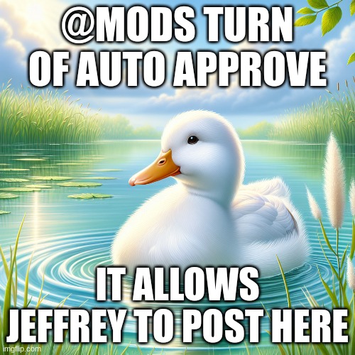Duck | @MODS TURN OF AUTO APPROVE; IT ALLOWS JEFFREY TO POST HERE | image tagged in duck | made w/ Imgflip meme maker