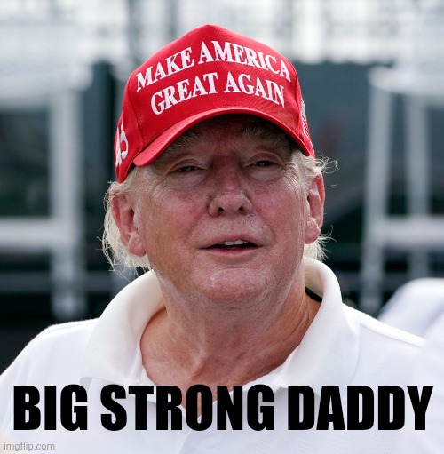 Trump August 2022 Old, haggard, arrest, treason | BIG STRONG DADDY | image tagged in trump august 2022 old haggard arrest treason,father figure,abusive family politics | made w/ Imgflip meme maker
