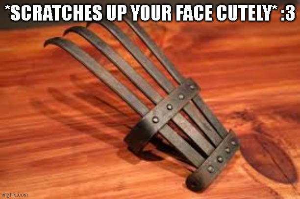*SCRATCHES UP YOUR FACE CUTELY* :3 | made w/ Imgflip meme maker
