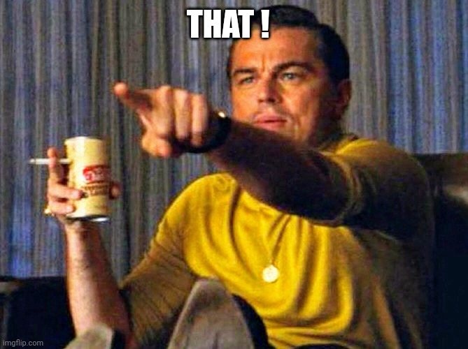Leonardo Dicaprio pointing at tv | THAT ! | image tagged in leonardo dicaprio pointing at tv | made w/ Imgflip meme maker