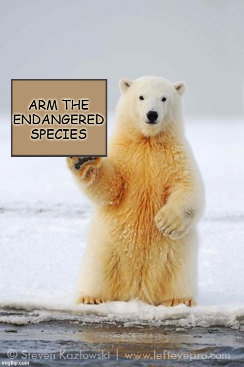 Inspired by TwoWayMirror | ARM THE ENDANGERED SPECIES | image tagged in hello polar bear,climate,crisis,man with sign,comment | made w/ Imgflip meme maker