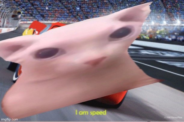 Cars meme I'm speed | image tagged in cars meme i'm speed | made w/ Imgflip meme maker