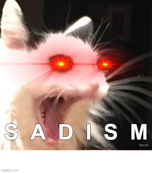 Sadism | S  A  D  I  S  M | image tagged in meme,sadism | made w/ Imgflip meme maker