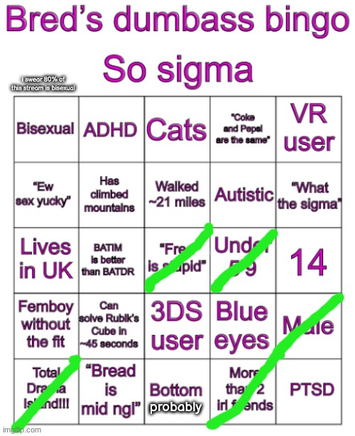 Bred’s stupid bingo | i swear 80% of this stream is bisexual; probably | image tagged in bred s stupid bingo | made w/ Imgflip meme maker