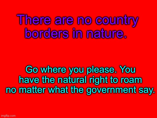 There are no country borders in nature. Go where you please. You have the natural right to roam no matter what the government say. | image tagged in anarchism,leftist | made w/ Imgflip meme maker