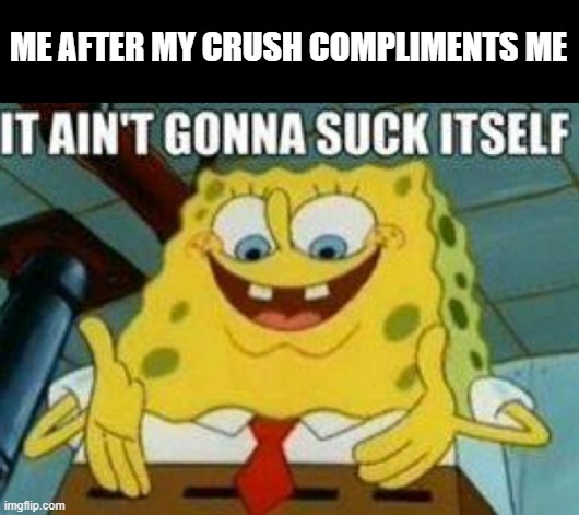 Satire time!!!!!! | ME AFTER MY CRUSH COMPLIMENTS ME | image tagged in it ain't gonna suck itself,memes,satire,dank memes | made w/ Imgflip meme maker