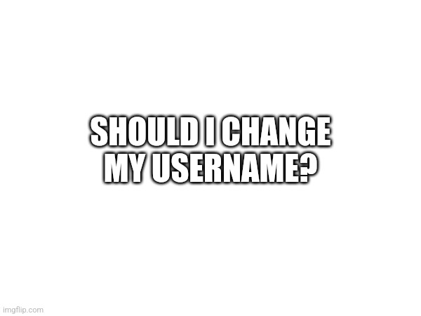 SHOULD I CHANGE MY USERNAME? | made w/ Imgflip meme maker