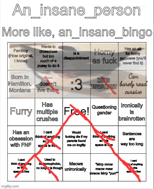 Got a bingo | image tagged in an insane bingo | made w/ Imgflip meme maker
