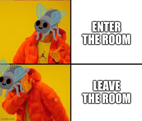 real | ENTER THE ROOM; LEAVE THE ROOM | image tagged in drake yes no reverse,fly,real,memes | made w/ Imgflip meme maker