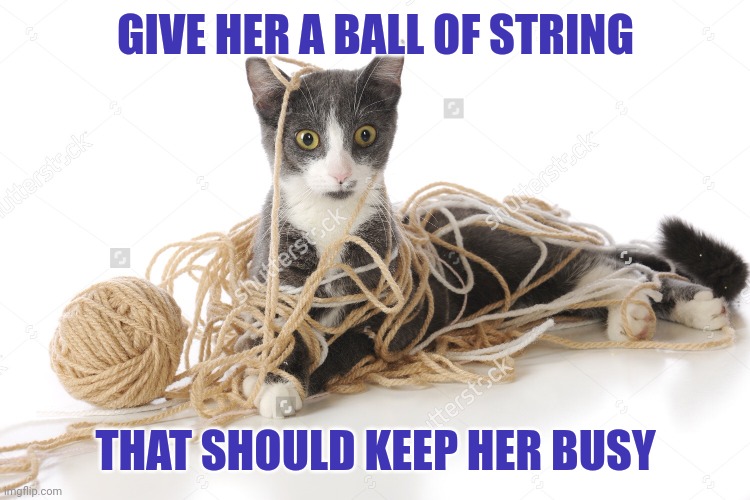 String | GIVE HER A BALL OF STRING THAT SHOULD KEEP HER BUSY | image tagged in string | made w/ Imgflip meme maker