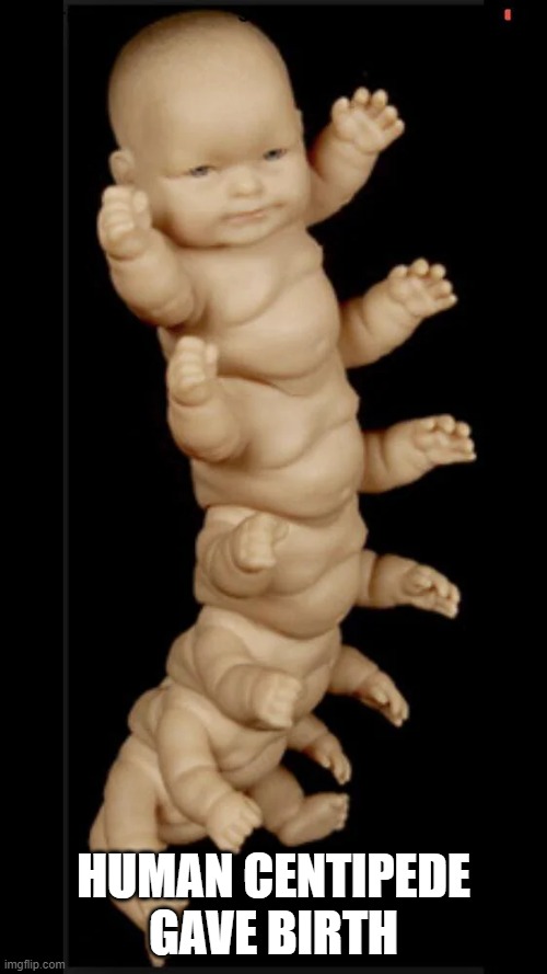 Babypede | HUMAN CENTIPEDE GAVE BIRTH | image tagged in unsee juice | made w/ Imgflip meme maker