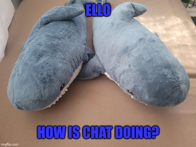 My brother's and my blahaj | ELLO; HOW IS CHAT DOING? | image tagged in my brother's and my blahaj | made w/ Imgflip meme maker
