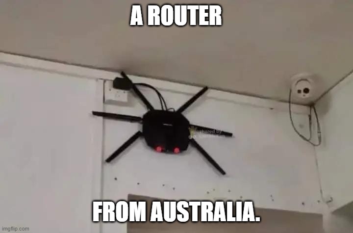 Australian router | A ROUTER; FROM AUSTRALIA. | image tagged in australian router | made w/ Imgflip meme maker