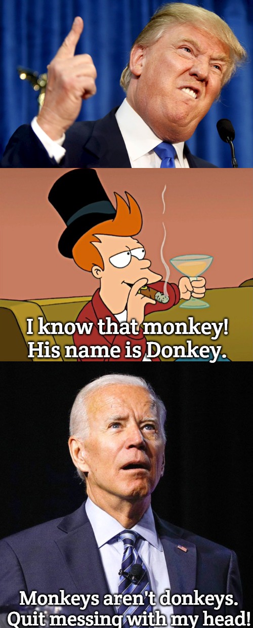 Futurama-Trump-Biden | I know that monkey! His name is Donkey. Monkeys aren't donkeys. Quit messing with my head! | image tagged in donald trump,futurama rich fry,joe biden,slavic | made w/ Imgflip meme maker