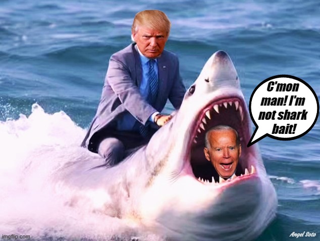 High Quality Trump rides shark that ate Biden Blank Meme Template