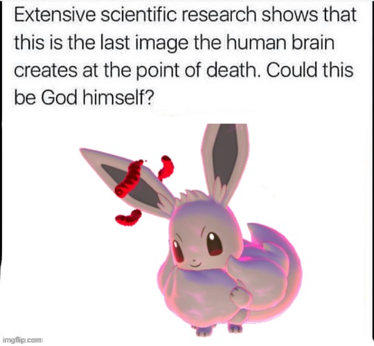 Could this be God himself? | secret text found, you are now purified by eevee | image tagged in could this be god himself | made w/ Imgflip meme maker
