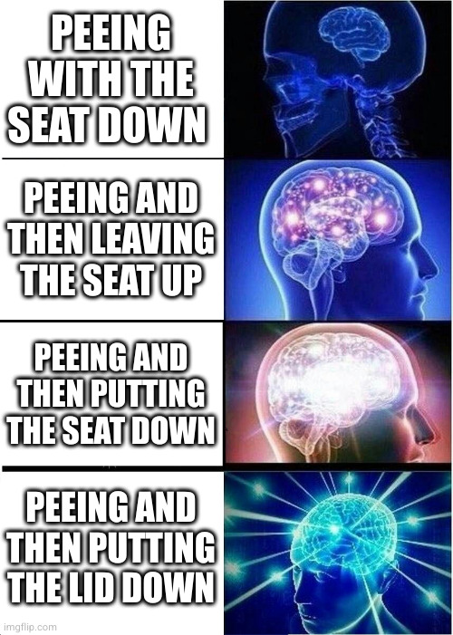 Then ladies can sit down on the lid instead of the bowl, since they apparently won't bother to look before they sit | PEEING WITH THE SEAT DOWN; PEEING AND
THEN LEAVING
THE SEAT UP; PEEING AND THEN PUTTING THE SEAT DOWN; PEEING AND THEN PUTTING THE LID DOWN | image tagged in memes,expanding brain | made w/ Imgflip meme maker