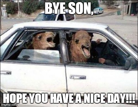 Meanwhile on the school run | BYE SON, HOPE YOU HAVE A NICE DAY!!! | image tagged in memes,quit hatin,animals | made w/ Imgflip meme maker