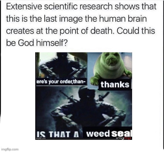 Could this be God himself? | Is that a weed seal? | image tagged in could this be god himself | made w/ Imgflip meme maker