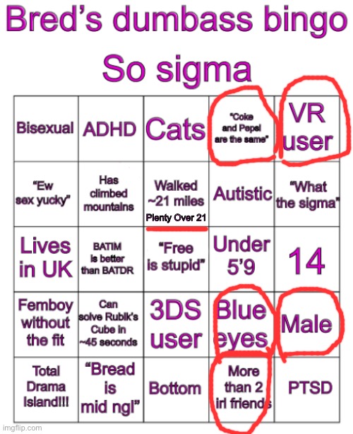 Bred’s stupid bingo | Plenty Over 21 | image tagged in bred s stupid bingo | made w/ Imgflip meme maker