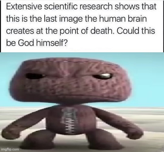 Sackboy | image tagged in could this be god himself | made w/ Imgflip meme maker