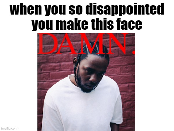 DAMN. | when you so disappointed
you make this face | image tagged in rap,kendrick lamar,disappointment,hip hop | made w/ Imgflip meme maker