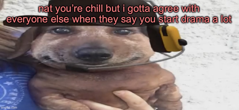 chucklenuts | nat you’re chill but i gotta agree with everyone else when they say you start drama a lot | image tagged in chucklenuts | made w/ Imgflip meme maker