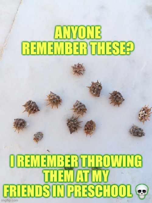 ANYONE REMEMBER THESE? I REMEMBER THROWING THEM AT MY FRIENDS IN PRESCHOOL 💀 | made w/ Imgflip meme maker