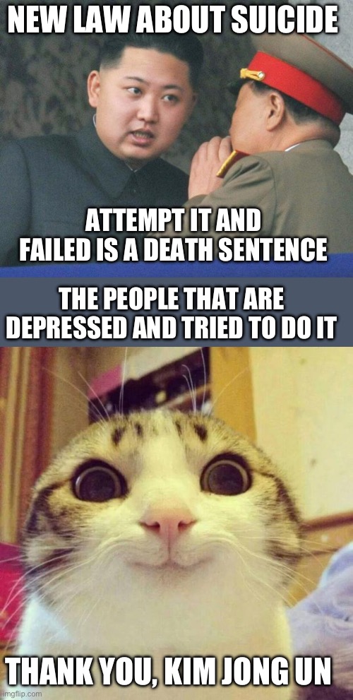 North Korea has a Suicide law that is funny | NEW LAW ABOUT SUICIDE; ATTEMPT IT AND FAILED IS A DEATH SENTENCE; THE PEOPLE THAT ARE DEPRESSED AND TRIED TO DO IT; THANK YOU, KIM JONG UN | image tagged in hungry kim jong un,memes,smiling cat | made w/ Imgflip meme maker