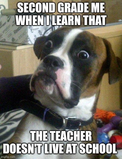 Blankie the Shocked Dog | SECOND GRADE ME  WHEN I LEARN THAT; THE TEACHER DOESN'T LIVE AT SCHOOL | image tagged in blankie the shocked dog | made w/ Imgflip meme maker