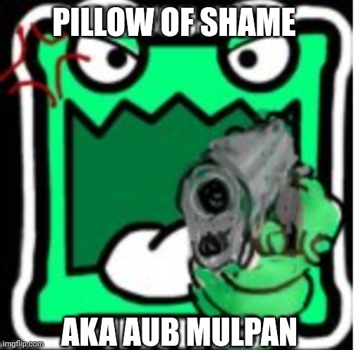 (Moonranger: A new shame to use against upvote beggars) | PILLOW OF SHAME; AKA AUB MULPAN | image tagged in aub mulpan | made w/ Imgflip meme maker