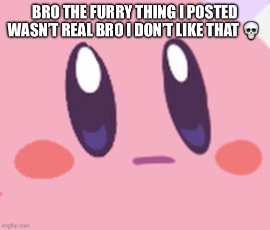 … | BRO THE FURRY THING I POSTED WASN’T REAL BRO I DON’T LIKE THAT 💀 | image tagged in blank kirby face | made w/ Imgflip meme maker