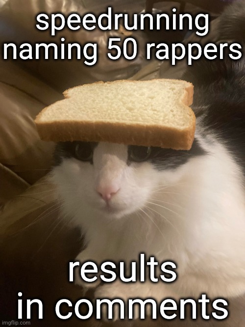 somehow i missed MF DOOM | speedrunning naming 50 rappers; results in comments | image tagged in bread cat | made w/ Imgflip meme maker