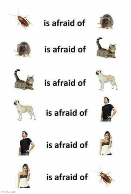 Afraid of loop back | image tagged in afraid of loop back | made w/ Imgflip meme maker