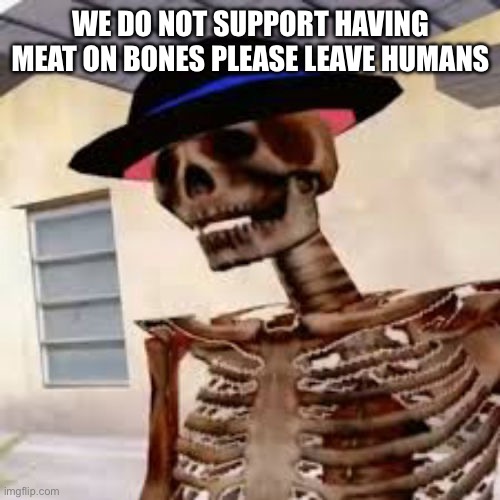 Skeleton | WE DO NOT SUPPORT HAVING MEAT ON BONES PLEASE LEAVE HUMANS | image tagged in bro waht | made w/ Imgflip meme maker