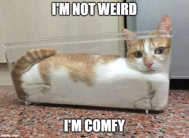 memes by Brad - My cat is not weird. He's comfy. | I'M NOT WEIRD; I'M COMFY | image tagged in funny,cats,funny cat memes,cute kitten,humor,kitten | made w/ Imgflip meme maker