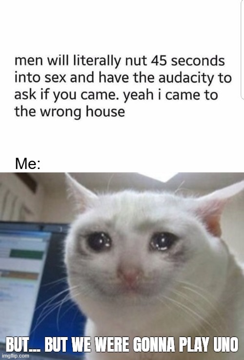 Me:; BUT... BUT WE WERE GONNA PLAY UNO | image tagged in funny,crying cat | made w/ Imgflip meme maker