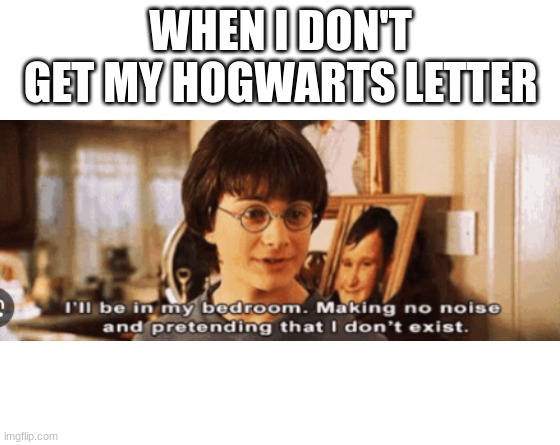 Make your own meme | WHEN I DON'T GET MY HOGWARTS LETTER | image tagged in make your own meme | made w/ Imgflip meme maker