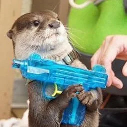 High Quality Otter with water gun Blank Meme Template