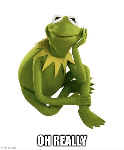 Oh Really Kermit | OH REALLY | image tagged in oh really kermit | made w/ Imgflip meme maker