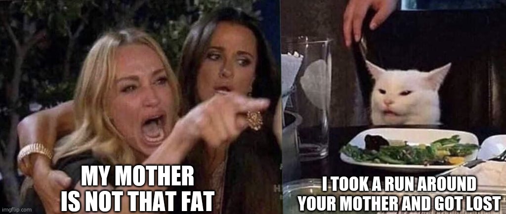 woman yelling at cat | MY MOTHER IS NOT THAT FAT I TOOK A RUN AROUND YOUR MOTHER AND GOT LOST | image tagged in woman yelling at cat | made w/ Imgflip meme maker