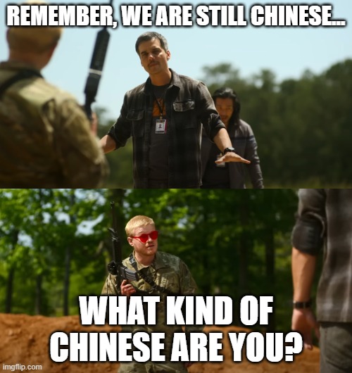 What kind of American are you | REMEMBER, WE ARE STILL CHINESE... WHAT KIND OF CHINESE ARE YOU? | image tagged in what kind of american are you | made w/ Imgflip meme maker