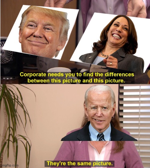 They're The Same Picture | image tagged in memes,they're the same picture,kamala harris,donald trump,joe biden,dementia | made w/ Imgflip meme maker