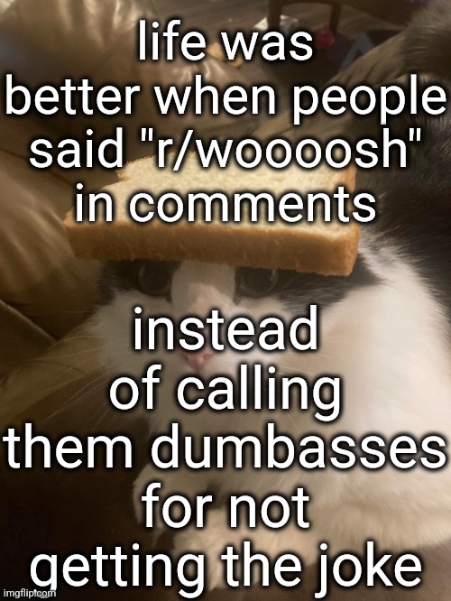 bread cat | life was better when people said "r/woooosh" in comments; instead of calling them dumbasses for not getting the joke | image tagged in bread cat | made w/ Imgflip meme maker