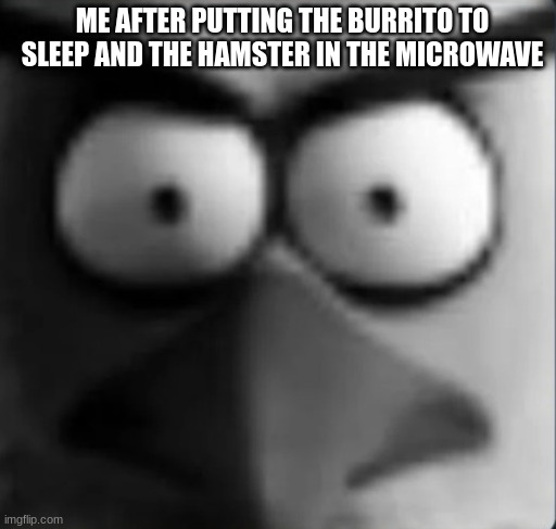 chuckpost | ME AFTER PUTTING THE BURRITO TO SLEEP AND THE HAMSTER IN THE MICROWAVE | image tagged in chuckpost | made w/ Imgflip meme maker