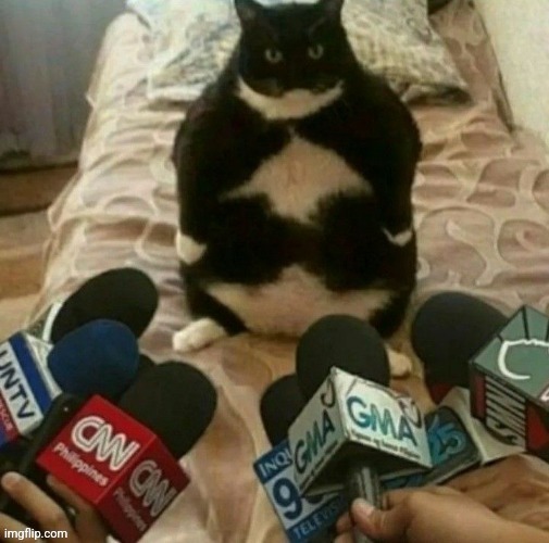 What are his opinions | made w/ Imgflip meme maker