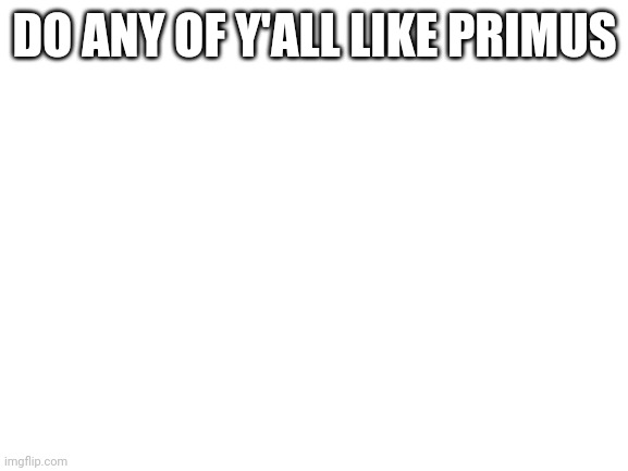 Blank White Template | DO ANY OF Y'ALL LIKE PRIMUS | image tagged in blank white template | made w/ Imgflip meme maker