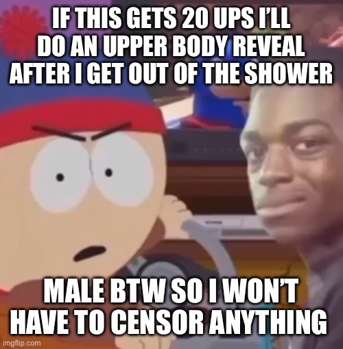 No pickle pics | IF THIS GETS 20 UPS I’LL DO AN UPPER BODY REVEAL AFTER I GET OUT OF THE SHOWER; MALE BTW SO I WON’T HAVE TO CENSOR ANYTHING | image tagged in wtf 5 | made w/ Imgflip meme maker